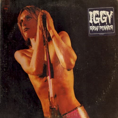 Raw Power by Iggy and the Stooges — album cover art