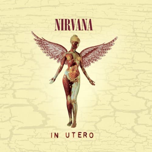 In Utero by Nirvana — album cover art