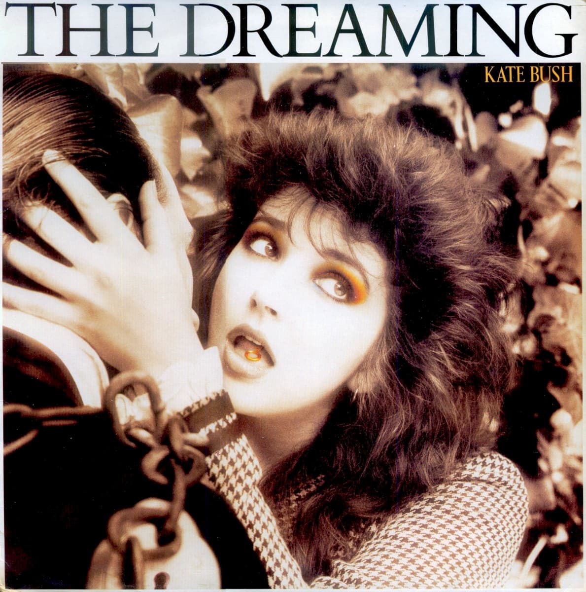 The Dreaming by Kate Bush — album cover art