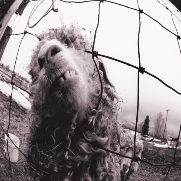 Vs. by Pearl Jam — album cover art