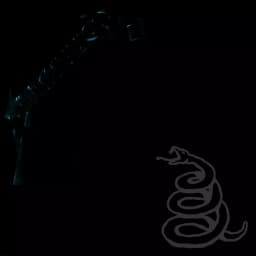 Metallica by Metallica