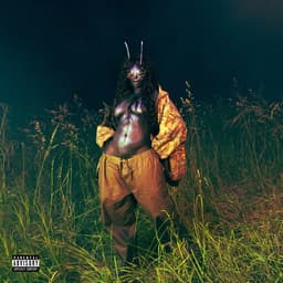 SOS Deluxe: LANA by SZA