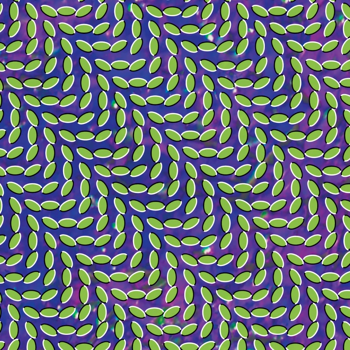 Merriweather Post Pavilion by Animal Collective — album cover art