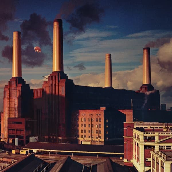 Animals by Pink Floyd — album cover art