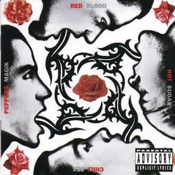 Blood Sugar Sex Magik by Red Hot Chili Peppers
