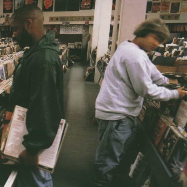 Endtroducing..... album cover